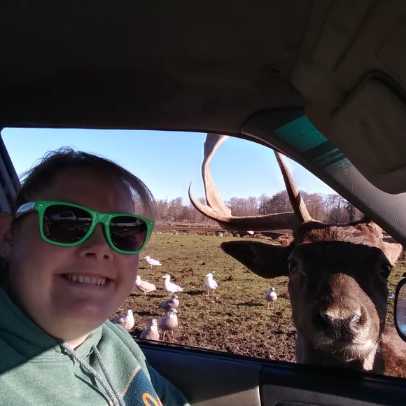 Meet your Posher, Allison - Picture 1 of 1